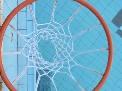 pool basketball net feature